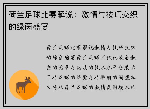 荷兰足球比赛解说：激情与技巧交织的绿茵盛宴