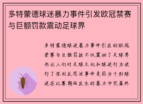 多特蒙德球迷暴力事件引发欧冠禁赛与巨额罚款震动足球界